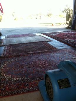  This Client Got A Free Garage Floor Cleaning Before I Cleaned Her Rugs, Because It Was The Only Place She Had Available At The Time. I Strive To Exceed My Clients Expectations.